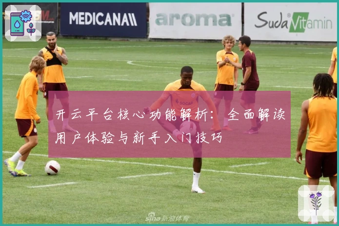 开云平台核心功能解析：全面解读用户体验与新手入门技巧